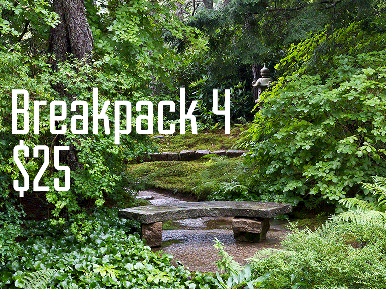 Breakpack 4: How to Swing