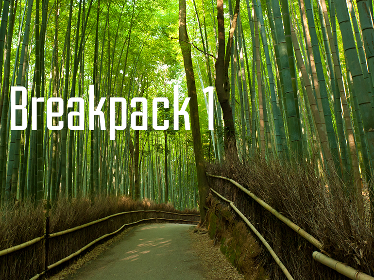 Breakpack 1