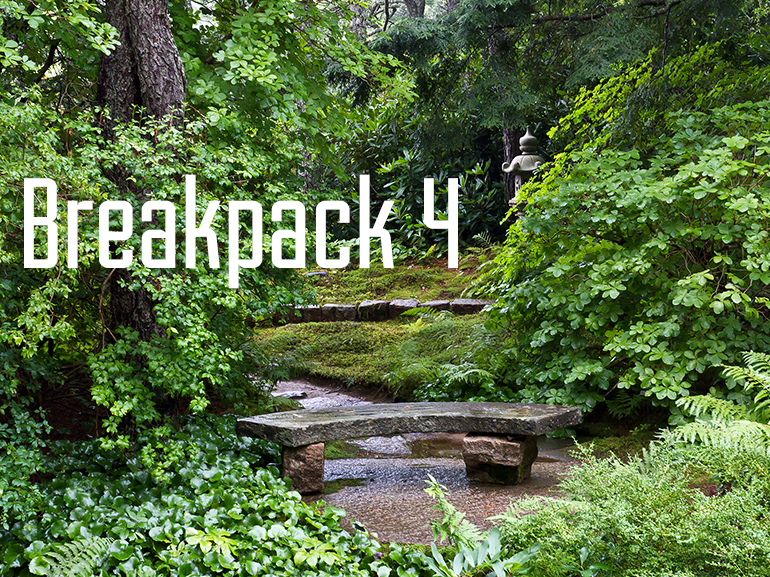 Breakpack 4